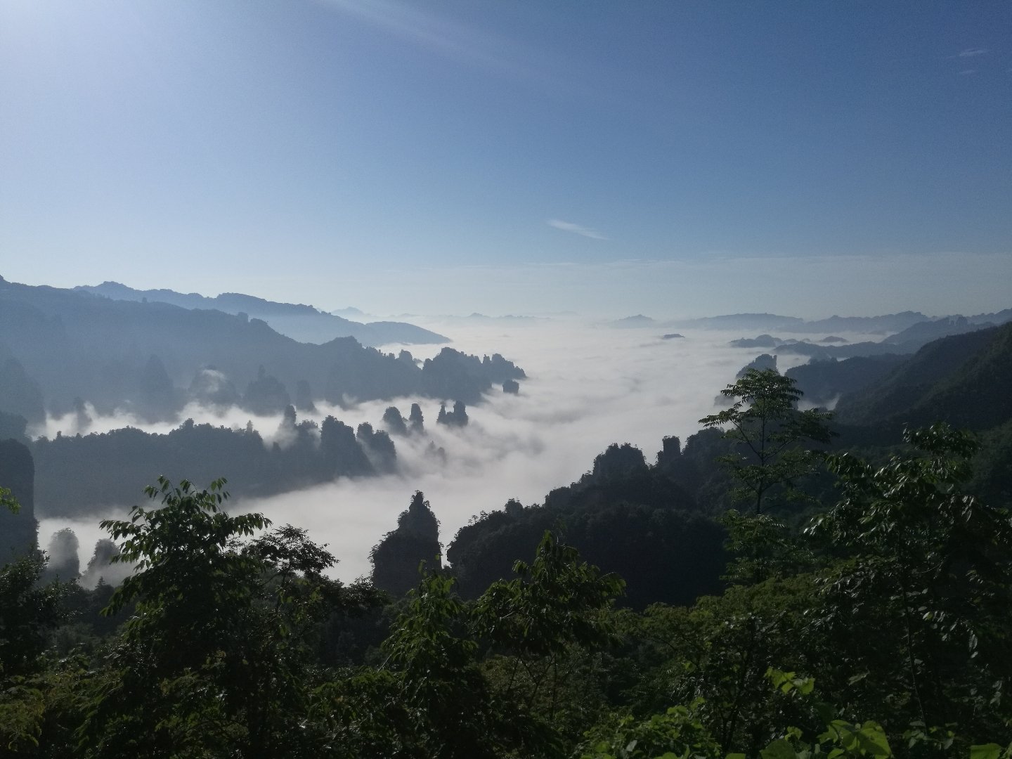 天子山镇天气预报最新详解